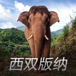 申花看人眼光准！22岁香港新星5球4助攻坐稳左路，两大国脚被迫为他让位